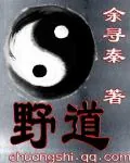 《野道》小说封面