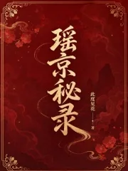 《瑶京秘录》小说封面