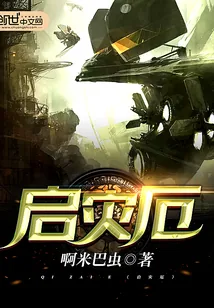 《启灾厄》小说封面
