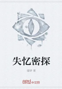 《失忆密探》小说封面