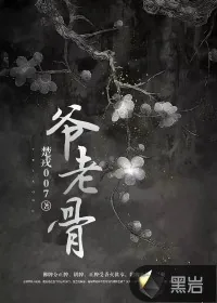 《爷老骨》小说封面