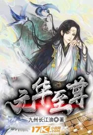《元华至尊》小说封面