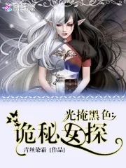 《光掩黑色：诡秘女探》小说封面