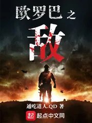 《欧罗巴之敌》小说封面