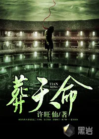 《葬天命》小说封面