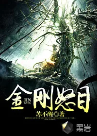 《金刚怒目》小说封面