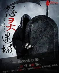 《怨灵迷城》小说封面