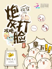 《快穿：炮灰打脸攻略》小说封面