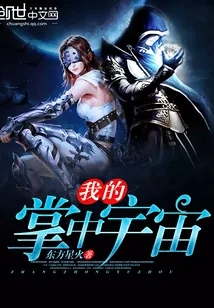 《我的掌中宇宙》小说封面