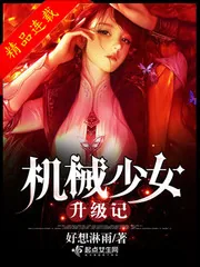 《机械少女升级记》小说封面