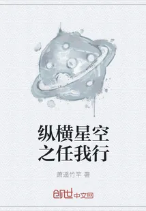 《纵横星空之任我行》小说封面