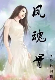 《凤魂骨》小说封面