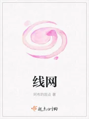 《线网》小说封面