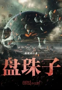 《盘珠子》小说封面