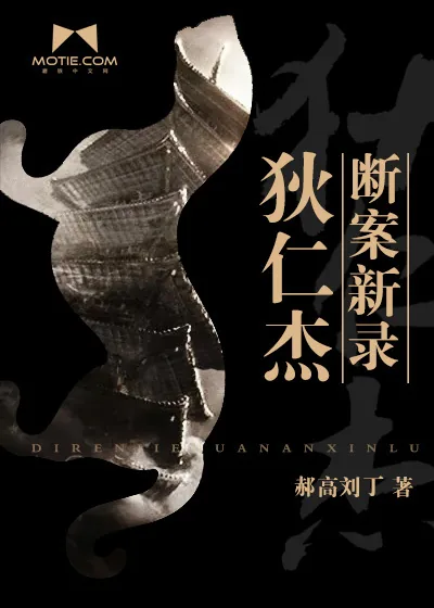 《狄仁杰断案新录》小说封面