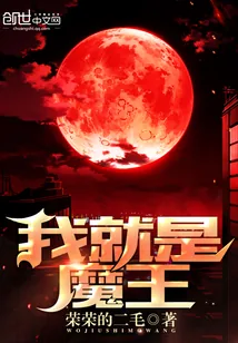 《我，就是魔王》小说封面
