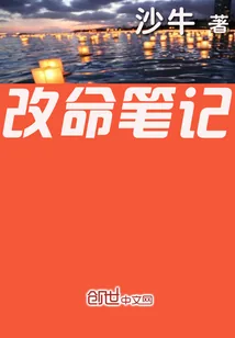 《改命笔记》小说封面