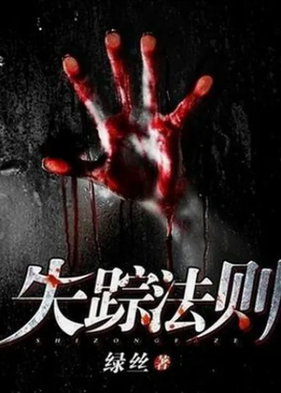 《失踪法则》小说封面