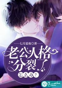 《老公人格分裂了怎么办?》小说封面