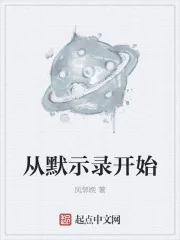 《从默示录开始》小说封面