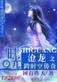 《时光沧龙之跨时空传奇》小说封面