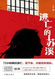 《逃亡的苏溪》小说封面