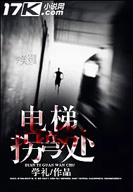 《电梯拐弯处》小说封面