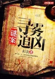 《谜案：寻雾追凶》小说封面