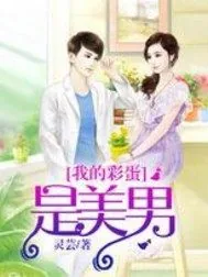 《我的彩蛋是美男》小说封面