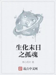 《生化末日之孤魂》小说封面