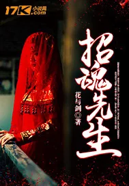 《招魂先生》小说封面