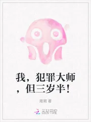 《我,犯罪大师,但三岁半!》小说封面