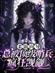 《柔弱向导,总被顶级哨兵疯狂觊觎》小说封面