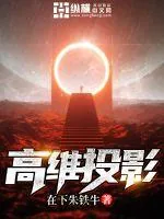《高维投影》小说封面