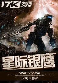 《星际银鹰》小说封面