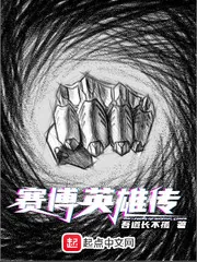 《赛博英雄传》小说封面
