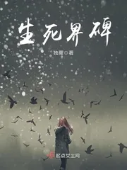《生死界碑》小说封面