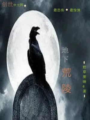 《地下荒陵》小说封面
