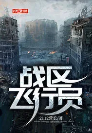 《战区飞行员》小说封面