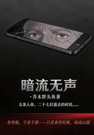 《暗流无声》小说封面