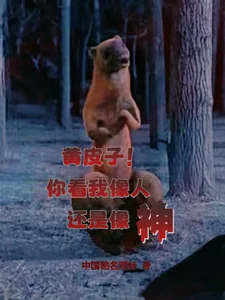 《黄皮子！你看我像人还是像神？》小说封面