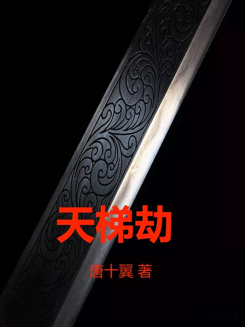 《天梯劫》小说封面