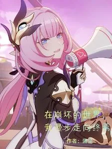 《在崩坏的世界，我漫步走向终焉》小说封面