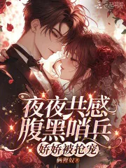 《夜夜共感腹黑哨兵，娇娇被抢宠》小说封面