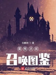 《霍格沃兹召唤图鉴》小说封面