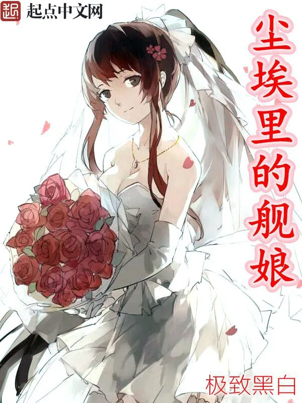 《尘埃里的舰娘》小说封面