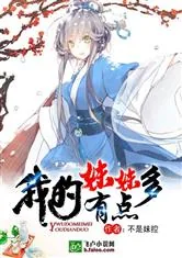 《综漫之我的妹妹有点多》小说封面