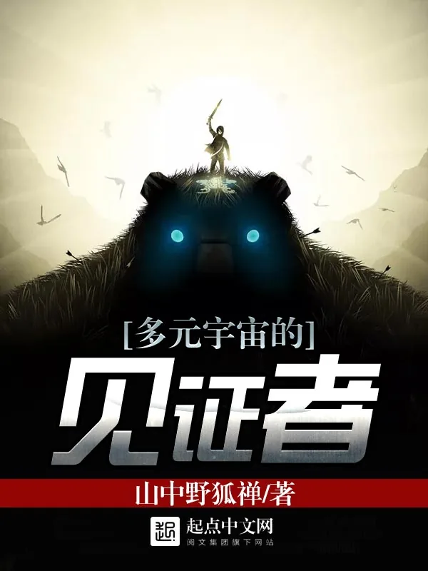 《多元宇宙的见证者》小说封面
