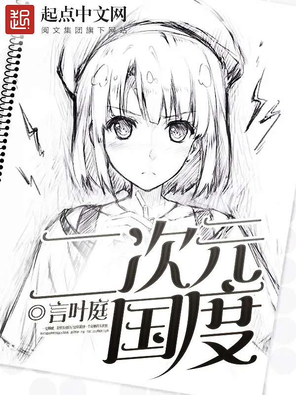 《二次元国度》小说封面