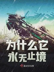 《为什么它永无止境》小说封面